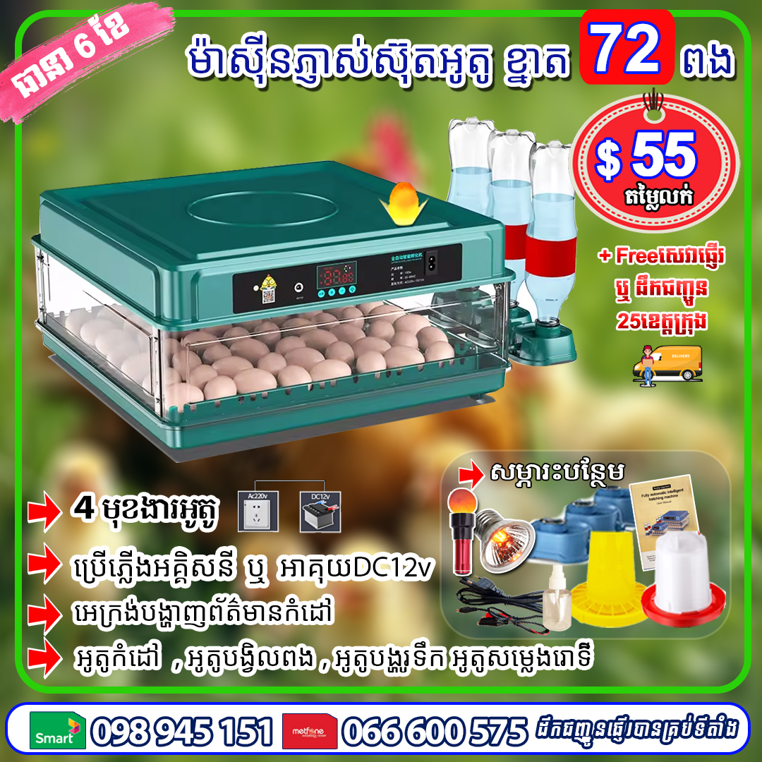 ម៉ាស៊ីនភ្ញាស់ស៊ុត ខ្នាត 72 ពង (បៃតង)